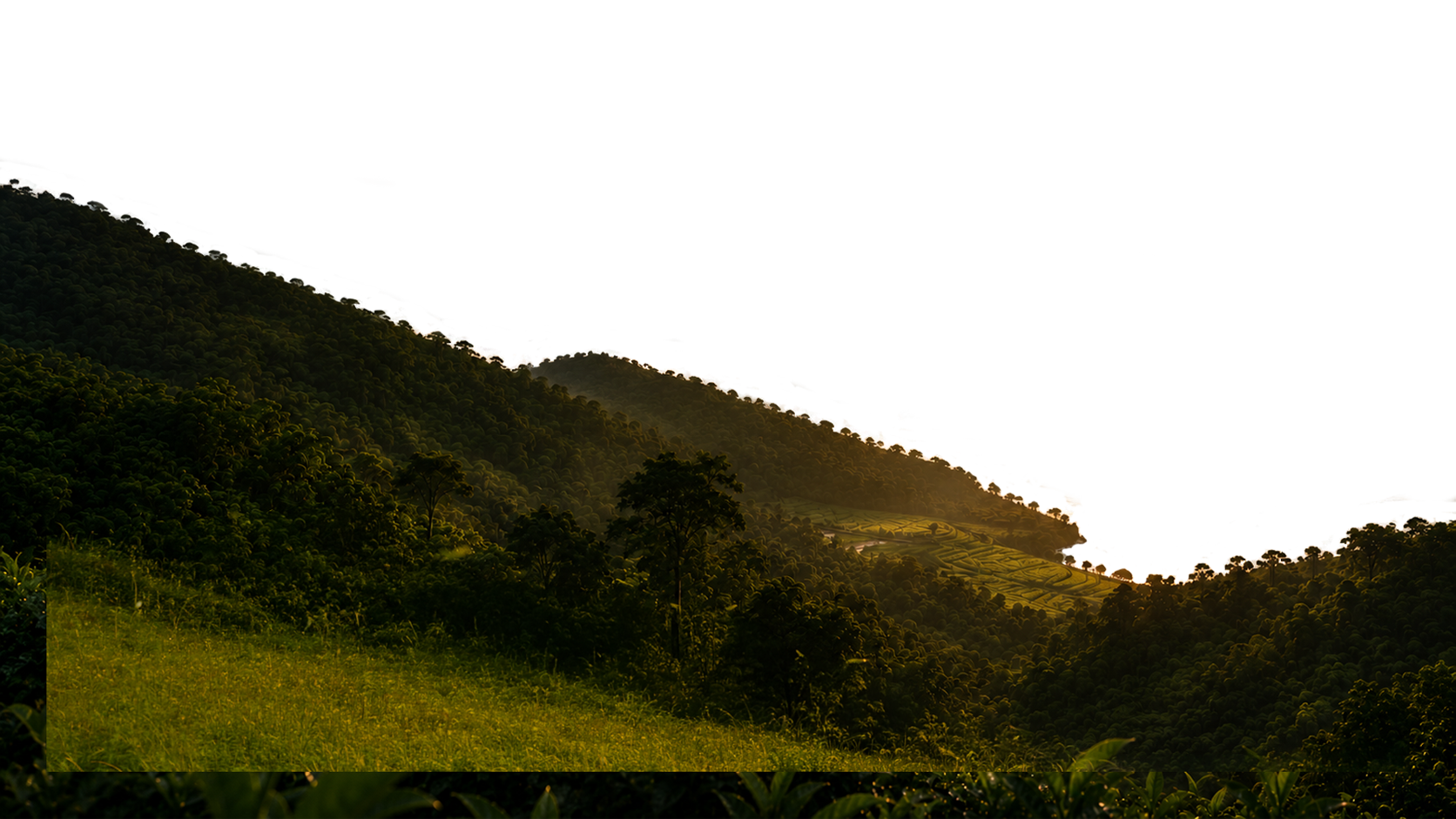 Midground Layer 1
